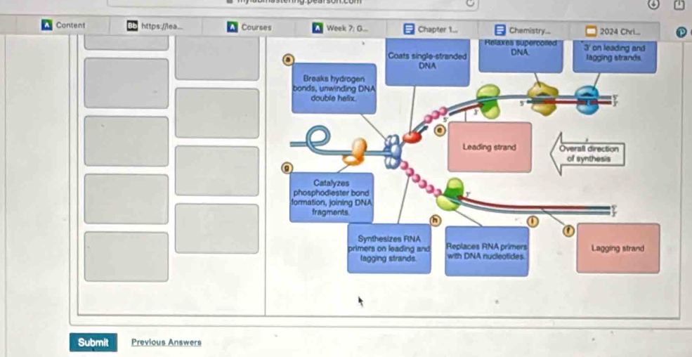 a Content https://lea... Courses
Submit Previous Answers