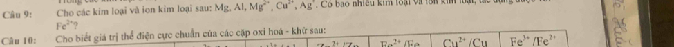 Cho các kim loại và ion kim loại sau: Mg, Al, Mg^(2+), Cu^(2+), Ag , Có bao nhiều kim loại và lồn ki loại,
Fe^2 ‘? 
Câu 10: Cho biết giá trị thể điện cực chuẩn của các cặp oxỉ hoá - khử sau:
2+ Ea^(2+)/Ea Cu^(2+)/Cu Fe^(3+)/Fe^(2+)