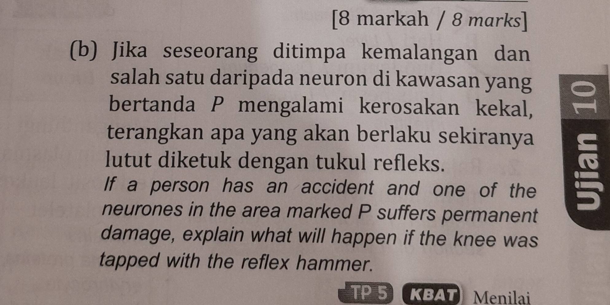 [8 markah / 8 marks] 
(b) Jika seseorang ditimpa kemalangan dan 
salah satu daripada neuron di kawasan yang 
bertanda P mengalami kerosakan kekal, 
terangkan apa yang akan berlaku sekiranya 
lutut diketuk dengan tukul refleks. 
If a person has an accident and one of the 
neurones in the area marked P suffers permanent 
damage, explain what will happen if the knee was 
tapped with the reflex hammer. 
TP 5 KBAT Menilai