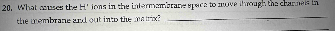 What causes the H* ions in the intermembrane space to move through the channels in 
the membrane and out into the matrix?_