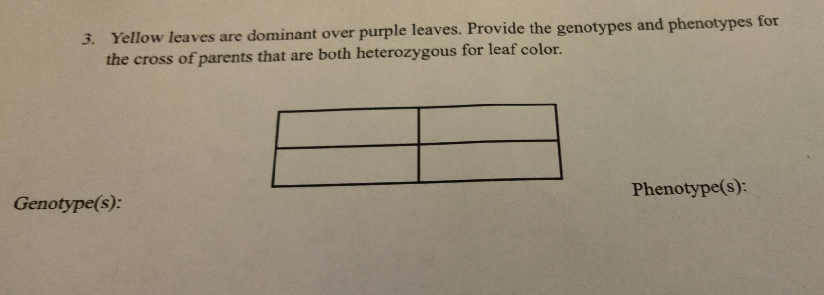 Yellow leaves are dominant over purple leaves. Provide the genotypes and phenotypes for 
the cross of parents that are both heterozygous for leaf color. 
Genotype(s): Phenotype(s):