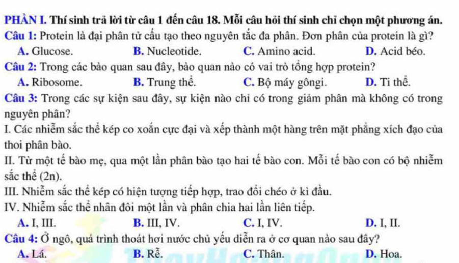 PHÀN I. Thí sinh trã lời từ câu 1 đến câu 18. Mỗi câu hồi thí sinh chỉ chọn một phương án.
Câu 1: Protein là đại phân tử cầu tạo theo nguyên tắc đa phân. Đơn phân của protein là gì?
A. Glucose. B. Nucleotide. C. Amino acid. D. Acid béo.
Câu 2: Trong các bào quan sau đây, bảo quan nào có vai trò tổng hợp protein?
A. Ribosome. B. Trung thể. C. Bộ máy gôngi. D. Ti thể.
Câu 3: Trong các sự kiện sau đây, sự kiện nào chi có trong giảm phân mà không có trong
nguyên phân?
I. Các nhiễm sắc thể kép co xoắn cực đại và xếp thành một hàng trên mặt phẳng xích đạo của
thoi phân bào.
II. Từ một tế bào mẹ, qua một lần phân bào tạo hai tế bào con. Mỗi tế bào con có bộ nhiễm
sắc thể (2n).
III. Nhiễm sắc thể kép có hiện tượng tiếp hợp, trao đổi chéo ở kì đầu.
IV. Nhiễm sắc thể nhân đôi một lần và phân chia hai lần liên tiếp.
A. I, III. B. III, IV. C. I, IV. D. I, II.
Câu 4: Ở ngô, quá trình thoát hơi nước chủ yếu diễn ra ở cơ quan nào sau đây?
A. Lá. B. Rễ. C. Thân. D. Hoa.