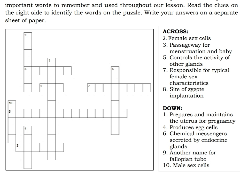 important words to remember and used throughout our lesson. Read the clues on 
the right side to identify the words on the puzzle. Write your answers on a separate 
sheet of paper. 
ROSS: 
Female sex cells 
Passageway for 
menstruation and baby 
Controls the activity of 
other glands 
Responsible for typical 
female sex 
characteristics 
Site of zygote 
implantation 
OWN: 
Prepares and maintains 
the uterus for pregnancy 
Produces egg cells 
Chemical messengers 
secreted by endocrine 
glands 
Another name for 
fallopian tube 
. Male sex cells