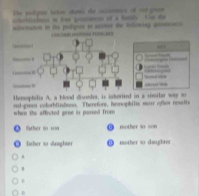 The prdite below shows the iccurrence of rad-guen 
colrblindness in fon jengrations of a fumly. Hs te
indormation in the pedigree to answer the following questice(s)
Coegíóo digrs Penígre
“ 
Viesction B Eneand Kcolla o ios Bm
Caro Fóssele
Cntotios I Nesnl i ole r 2 4 teon l
Gno IV Aflitod Site
1
Hemophilia A. a blood disorder, is inherited in a similar way to
red-green colorblindness. Therefore, hemophilia most often results
when the aflected gene is passed from
A father to son ⑨ mother to son
O father to daughter mother to daughter
A
n
0
D