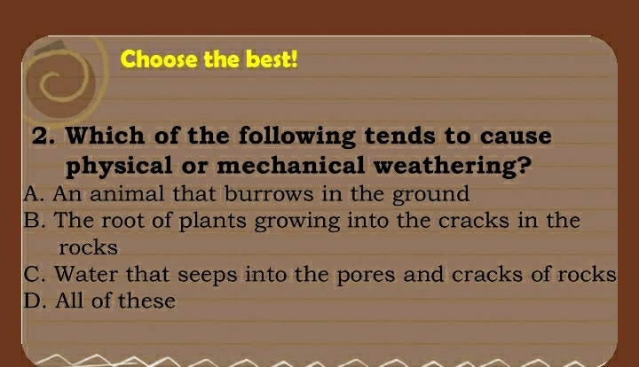 Choose the best!
2. Which of the following tends to cause
physical or mechanical weathering?
A. An animal that burrows in the ground
B. The root of plants growing into the cracks in the
rocks
C. Water that seeps into the pores and cracks of rocks
D. All of these