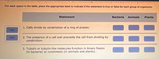 For each space in the table, place the appropriate label to indicate if the statement is true or false for each group of organisms. 
Statement Bactería Animals Plants 
1. Cells divide by constriction of a ring of protein. 
t 
_ 
falle 2. The presence of a cell wall prevents the cell from dividing by 
constriction 
_ 
3. Tubulin or tubulin-like molecules function in binary fission 
(in bacteria) or cytokinesis (in animals and plants).