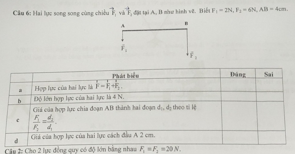 to
Câu 6: Hai lực song song cùng chiều vector F_1 và F_2 đặt tại A, B như hình vẽ. Biết F_1=2N,F_2=6N,AB=4cm.
A
B
vector F_1
overline F_2
Câu 2: Cho 2 lực đồng quy có độ lớn bằng nhau F_1=F_2=20N.