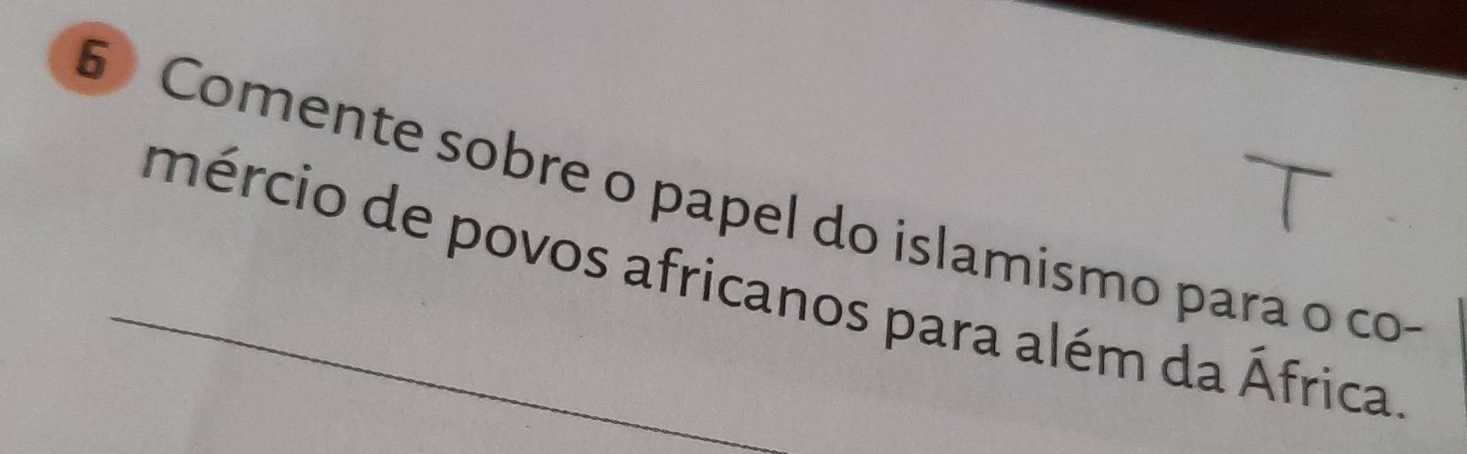 Comente sobre o papel do islamismo para o co- 
_mércio de povos africanos para além da África