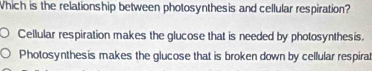 Which is the relationship between photosynthesis and cellular respiration?
Cellular respiration makes the glucose that is needed by photosynthesis.
Photosynthesis makes the glucose that is broken down by cellular respirat