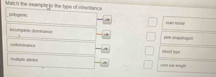 Match the example to the type of inheritance.
polygenic roan horse
incomplete dominance pink snapdragon
codominance blood type
multiple alleles corn ear length