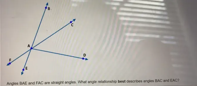 Solved: Angles BAE and FAC are straight angles. What angle relationship ...