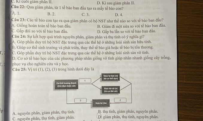 C. Ki cuối giảm phân II. D. Kì sau giảm phân II.
Câu 22: Qua giảm phân, từ 1 tế bào ban đầu tạo ra mấy tế bào con?
A. 1. B. 2. C. 3. D. 4.
Câu 23: Các tế bào con tạo ra qua giảm phân có bộ NST như thế nào so với tế bào ban đầu?
A. Giống hoàn toàn tế bào ban đầu. B. Giảm đi một nửa so với tế bào ban đầu.
C. Gấp đôi so với tế bào ban đầu, D. Gấp ba lần so với tế bào ban đầu.
Câu 24: Sự kết hợp quá trình nguyên phân, giảm phân và thụ tinh có ý nghĩa gì?
A. Góp phần duy trì bộ NST đặc trưng qua các thế hệ ở những loài sinh sản hữu tính.
B. Giúp cơ thể sinh trưởng và phát triển, thay thế tế bào già hoặc tế bào bị tồn thương.
r, 2 C. Góp phần duy trì bộ NST đặc trưng qua các thế hệ ở những loài sinh sản vô tính.
D. Cơ sở tế bào học của các phương pháp nhân giống vô tính giúp nhân nhanh giống cây trồng,
r, 2 phục vụ cho nghiên cứu và y học.
Câu 25: Vị trí (1), (2), (3) trong hình dưới đây là
p A. nguyên phân, giảm phân, thụ tinh. B. thụ tinh, giảm phân, nguyên phân.
C. nguyên phân, thụ tinh, giảm phân. D. giảm phân, thụ tinh, nguyên phân.