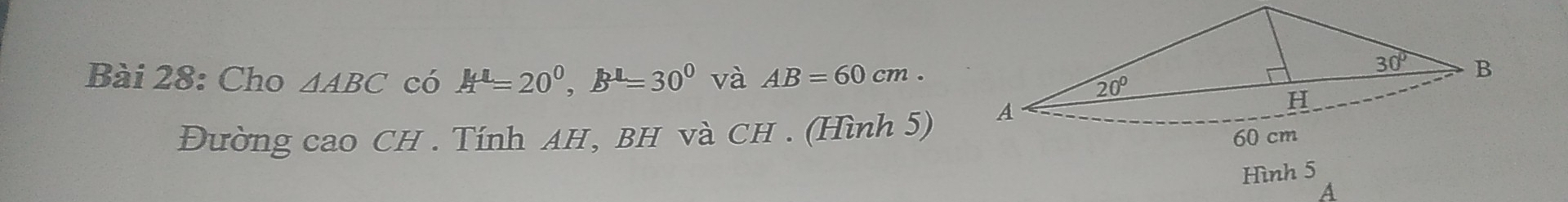 Cho △ ABC có A^1=20^0,B^1=30^0 và AB=60cm.
Đường cao CH . Tính AH, BH và CH . (Hình 5)
Hình 5
A