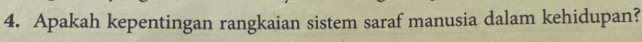 Apakah kepentingan rangkaian sistem saraf manusia dalam kehidupan?