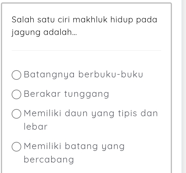 Salah satu ciri makhluk hidup pada
jagung adalah...
Batangnya berbuku-buku
Berakar tunggang
Memiliki daun yang tipis dan
lebar
Memiliki batang yang
bercabang