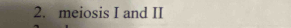 meiosis I and II