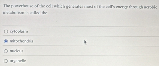 The powerhouse of the cell which generates most of the cell's energy through aerobic
metabolism is called the
cytoplasm
mitochondria
nucleus
organelle