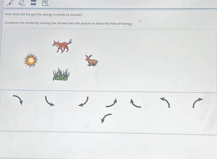 تم الحل:How does the fox get the energy it needs to survive? Complete ...