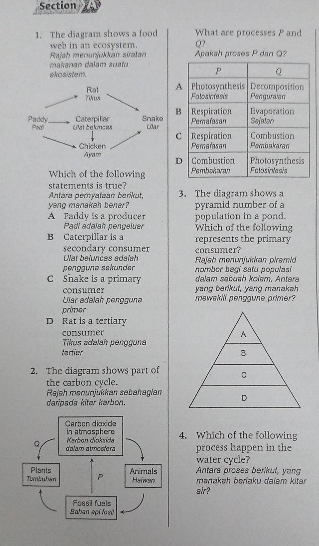 The diagram shows a food What are processes P and
web in an ecosystem. Q?
Rajah menunjukkan siratan Apakah proses P dan Q?
makanan dalam suatu
ekosistem.


Which of the following 
statements is true?
Antara pernyataan berikut, 3. The diagram shows a
yang manakah benar? pyramid number of a
A Paddy is a producer population in a pond.
Padi adalah pengeluar Which of the following
B Caterpillar is a represents the primary
secondary consumer consumer?
Ulat beluncas adalah Rajah menunjukkan piramid
pengguna sekunder nombor bagi satu populasi
C Shake is a primary dalam sebuah kolam. Antara
consumer yang berikut, yang manakah
Ular adalah pengguna mewakili pengguna primer?
primer
D Rat is a tertiary
consumer 
Tikus adalah pengguna
tertier
2. The diagram shows part of
the carbon cycle.
Rajah menunjukkan sebahagian
daripada kitar karbon.
4. Which of the following
process happen in the
water cycle?
Antara proses berikut, yang
manakah berlaku dalam kitar
air?