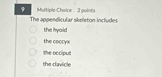 The appendicular skeleton includes
the hyoid
the coccyx
the occiput
the clavicle