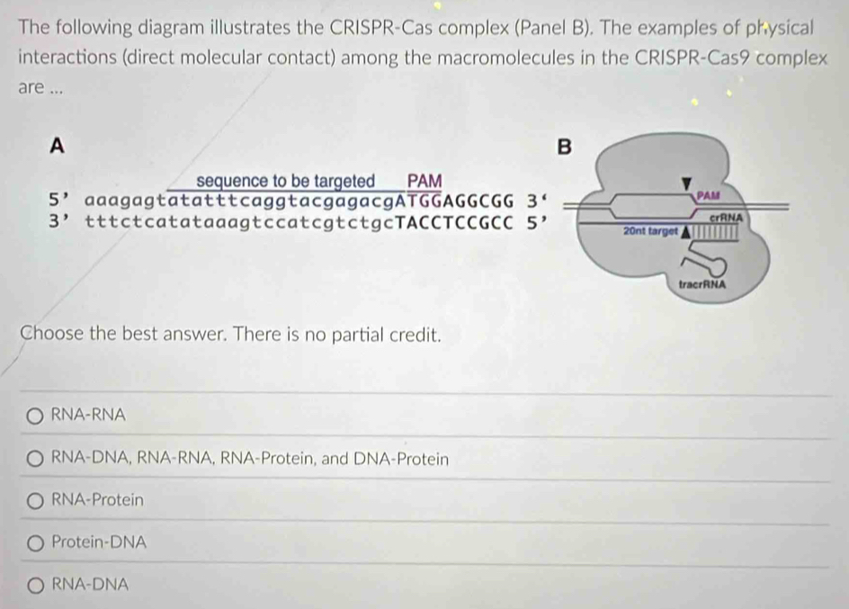 Solved: The following diagram illustrates the CRISPR-Cas complex (Panel ...