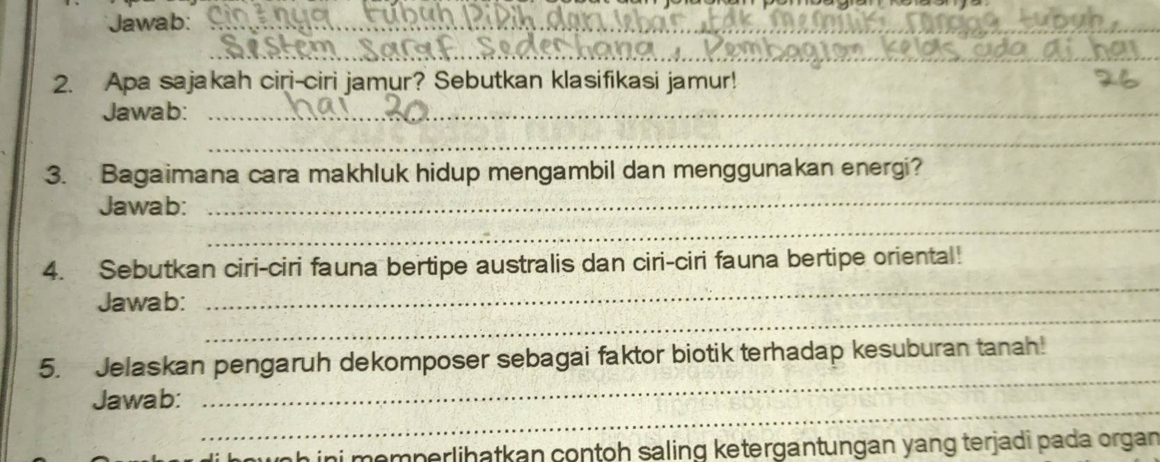 Jawab:_ 
_ 
2. Apa sajakah ciri-ciri jamur? Sebutkan klasifikasi jamur! 
Jawab:_ 
_ 
_ 
3. Bagaimana cara makhluk hidup mengambil dan menggunakan energi? 
_ 
Jawab: 
_ 
4. Sebutkan ciri-ciri fauna bertipe australis dan ciri-ciri fauna bertipe oriental! 
_ 
Jawab: 
_ 
5. Jelaskan pengaruh dekomposer sebagai faktor biotik terhadap kesuburan tanah! 
_ 
Jawab: 
h ini memperlihatkan contoh saling ketergantungan yang terjadi pada organ