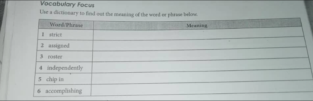 Vocabulary Focus 
Use a dictionary to find out the meaning of the word or phrase below.