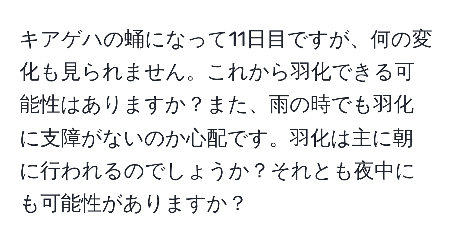 キアゲハの蛹になって11日目ですが、何の変化も見られません。これから羽化できる可能性はありますか？また、雨の時でも羽化に支障がないのか心配です。羽化は主に朝に行われるのでしょうか？それとも夜中にも可能性がありますか？