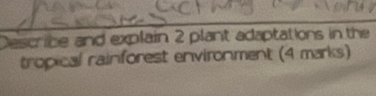 Describe and explain 2 plant adaptations in the 
tropical rainforest environment (4 marks)