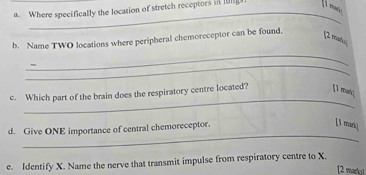 Where specifically the location of stretch receptors in lung 
[1 mark 
b. Name TWO locations where peripheral chemoreceptor can be found. 
[2 marks] 
_ 
_ 
_ 
c. Which part of the brain does the respiratory centre located? 
[1 mark] 
_ 
d. Give ONE importance of central chemoreceptor. 
[1 mark] 
e. Identify X. Name the nerve that transmit impulse from respiratory centre to X. 
[2 marks]