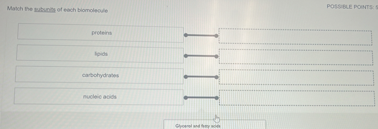 POSSIBLE POINTS: 5 
Match the subunits of each biomolecule 
proteins 
lipids 
carbohydrates 
nucleic acids 
Glycerol and fatty acids