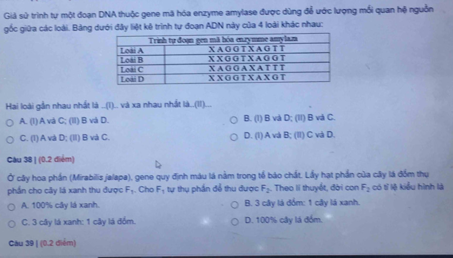 Giả sử trình tự một đoạn DNA thuộc gene mã hóa enzyme amylase được dùng đề ước lượng mối quan hệ nguồn
gốc giữa các loài. Bảng dưới đây liệt kê trình tự đoạn ADN này của 4 loài khác nhau:
Hai loài gần nhau nhất là ..(I).. và xa nhau nhất là.(II)...
A. (I) A và C; (II) B và D. B. (1) B và D; (II) B và C.
C. (I) A và D; (II) B và C. D. (I) A và B; (II) C và D.
Câu 38 | (0.2 điểm)
Ở cây hoa phần (Mirabilis jalapa), gene quy định màu lá nằm trong tể bào chất. Lẩy hạt phần của cây lá đồm thụ
phần cho cây lá xanh thu được F_1. Cho F_1 tự thụ phần đề thu được F_2. Theo lí thuyết, đời con F_2 có tỉ lệ kiểu hình là
A. 100% cây lá xanh. B. 3 cây là đồm: 1 cây lá xanh.
C. 3 cây lá xanh: 1 cây lá đồm. D. 100% cây lá đồm.
Câu 39 | (0.2 diểm)