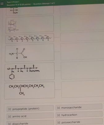 Topis 4 Preiep 1
Qvestion 9 of 12 ¢5 points) | Cuestion Ailempt 1 of 1
'
m_2n-∈tlimits _R^(Hp^0)_OH
beginarrayr CH_3CH_2CHCH_2CH_2CH_2CH_3CH, CH_3endarray
polypeptide (protein) monosaccharide
amino acid hydrocarbon
disaccharide polysaccharide