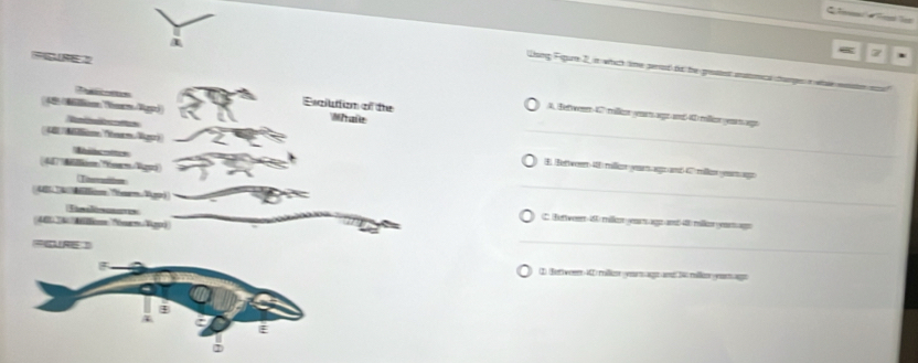 Lising Figure 2, in which time perod tt the gretent stmcl carges aw 
A. Befwenn 4 millicar ert agr nd- 4 milics yeat ago 
_ 
E Betweer 4E mlcn yen ago and Cmlen ym go 
_ 
C Herweer 48 millen ver agz and 4 milen year a 
_ 
1) der wee AD miller yearsage and 24 mllen geam age