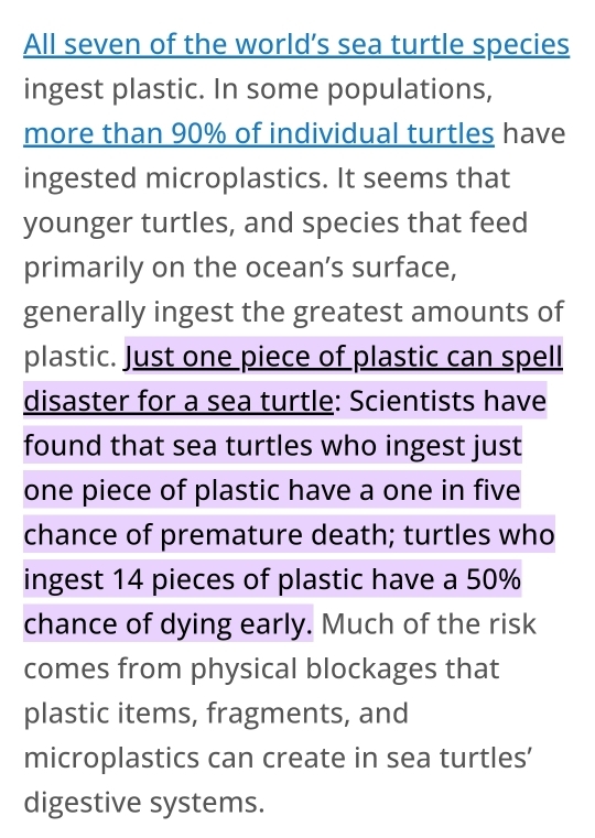 All seven of the world’s sea turtle species 
ingest plastic. In some populations, 
more than 90% of individual turtles have 
ingested microplastics. It seems that 
younger turtles, and species that feed 
primarily on the ocean’s surface, 
generally ingest the greatest amounts of 
plastic. Just one piece of plastic can spell 
disaster for a sea turtle: Scientists have 
found that sea turtles who ingest just 
one piece of plastic have a one in five 
chance of premature death; turtles who 
ingest 14 pieces of plastic have a 50%
chance of dying early. Much of the risk 
comes from physical blockages that 
plastic items, fragments, and 
microplastics can create in sea turtles’ 
digestive systems.