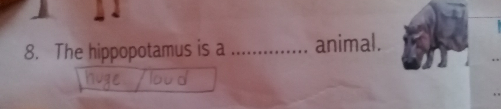 The hippopotamus is a _animal.