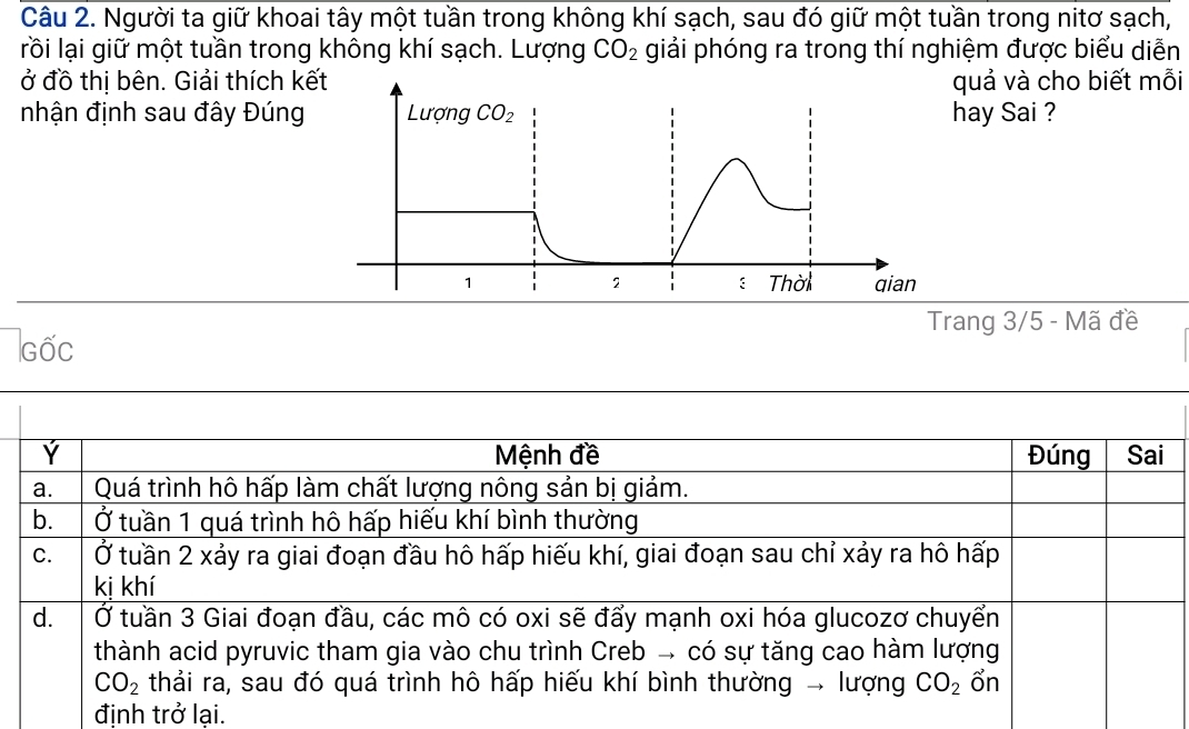 Người ta giữ khoai tây một tuần trong không khí sạch, sau đó giữ một tuần trong nitơ sạch,
lrồi lại giữ một tuần trong không khí sạch. Lượng CO_2 giải phóng ra trong thí nghiệm được biểu diễn
ở đồ thị bên. Giải thích kếquả và cho biết mỗi
nhận định sau đây Đúng hay Sai ?
Trang 3/5 - Mã đề
Ghat OC
Ý Mệnh đề Đúng Sai
a. Quá trình hô hấp làm chất lượng nông sản bị giảm.
b. Ở tuần 1 quá trình hô hấp hiếu khí bình thường
C. Ở tuần 2 xảy ra giai đoạn đầu hô hấp hiếu khí, giai đoạn sau chỉ xảy ra hô hấp
kị khí
d. Ở tuần 3 Giai đoạn đầu, các mô có oxi sẽ đẩy mạnh oxi hóa glucozơ chuyển
thành acid pyruvic tham gia vào chu trình Creb → có sự tăng cao hàm lượng
CO_2 thải ra, sau đó quá trình hô hấp hiếu khí bình thường → lượng CO_2 ổn
định trở lại.