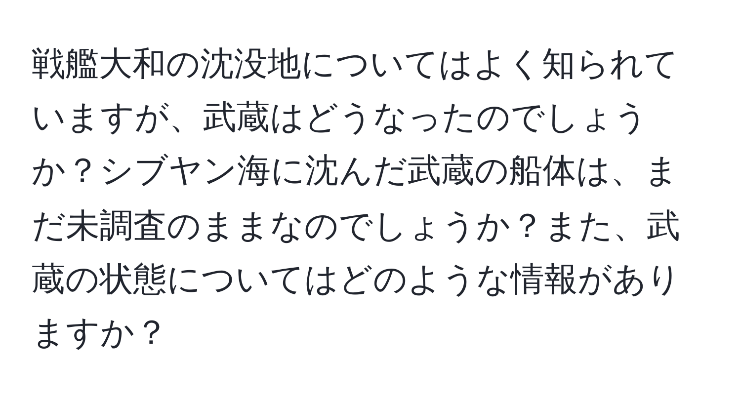 戦艦大和の沈没地についてはよく知られていますが、武蔵はどうなったのでしょうか？シブヤン海に沈んだ武蔵の船体は、まだ未調査のままなのでしょうか？また、武蔵の状態についてはどのような情報がありますか？