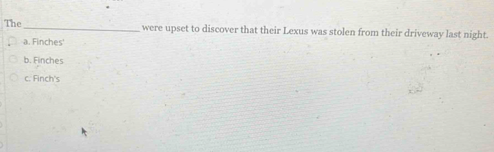 The _were upset to discover that their Lexus was stolen from their driveway last night.
a. Finches'
b. Finches
c. Finch's