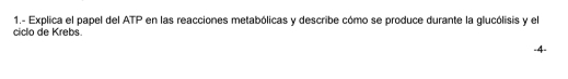 1.- Explica el papel del ATP en las reacciones metabólicas y describe cómo se produce durante la glucólisis y el 
ciclo de Krebs. -4 -