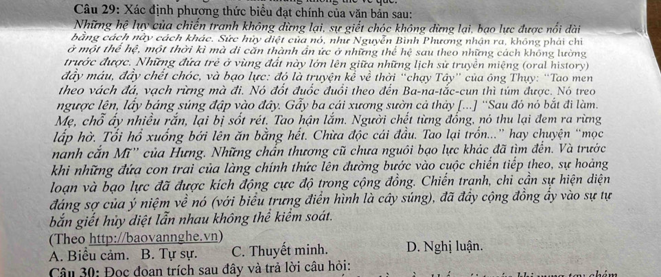 Xác định phương thức biểu đạt chính của văn bản sau:
Những hệ lụy của chiến tranh không dừng lại, sự giết chóc không dừng lại, bạo lực được nổi dài
bằng cách này cách khác. Sức hủy diệt của nó, như Nguyễn Bình Phương nhận ra, không phải chi
ở một thể hệ, một thời kì mà di căn thành ẩn ức ở những thể hệ sau theo những cách không lường
trước được. Những đứa trẻ ở vùng đất này lớn lên giữa những lịch sử truyền miệng (oral history)
đây máu, đầy chết chóc, và bạo lực: đó là truyện kể về thời “chạy Tây” của ông Thụy: “Tao men
theo vách đá, vạch rừng mà đi. Nó đốt đuốc đuổi theo đến Ba-na-tắc-cun thì túm được. Nó treo
ngược lên, lấy bảng súng đập vào đây. Gẫy ba cái xương sườn cả thảy [...] ''Sau đó nó bắt đi làm.
Mẹ, chỗ ấy nhiều rắn, lại bị sốt rét. Tao hận lắm. Người chết từng đồng, nó thu lại đem ra rừng
lấp hờ. Tối hổ xuống bởi lên ăn bằng hết. Chừa độc cái đầu. Tao lại trốn...” hay chuyện “mọc
nanh cắn Mĩ'' của Hưng. Những chấn thương cũ chưa nguôi bạo lực khác đã tìm đến. Và trước
khi những đứa con trai của làng chính thức lên đường bước vào cuộc chiến tiếp theo, sự hoảng
loạn và bạo lực đã được kích động cực độ trong cộng đồng. Chiến tranh, chi cần sự hiện diện
đáng sợ của ý niệm về nó (với biểu trưng điển hình là cây súng), đã đầy cộng đồng ẩy vào sự tự
bắn giết hủy diệt lẫn nhau không thể kiểm soát.
(Theo http://baovannghe.vn)
A. Biểu cảm. B. Tự sự. C. Thuyết minh. D. Nghị luận.
Câu 30: Đọc đoan trích sau đây và trả lời câu hỏi: