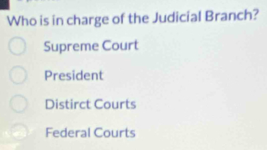 Who is in charge of the Judicial Branch?
Supreme Court
President
Distirct Courts
Federal Courts