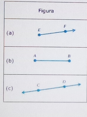 Figura 
(a) 
(b ) 
( c )