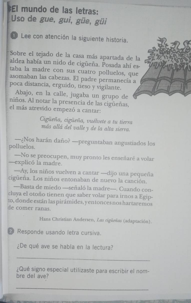 #El mundo de las letras: 
Uso de gue, gui, güe, güi 
1 Lee con atención la siguiente historia. 
Sobre el tejado de la casa más apartada de la 
aldea había un nido de cigüeña. Posada ahí es- 
taba la madre con sus cuatro polluelos, que 
asomaban las cabezas. El padre permanecía a 
poca distancia, erguido, tieso y vigilante. 
Abajo, en la calle, jugaba un grupo de 
niños. Al notar la presencia de las cigüeñas, 
el más atrevido empezó a cantar: 
Cigüeña, cigüeña, vuélvete a tu tierra 
más allá del valle y de la alta sierra. 
—¿Nos harán daño? —preguntaban angustiados los 
polluelos. 
—No se preocupen, muy pronto les enseñaré a volar 
—explicó la madre. 
—Ay, los niños vuelven a cantar —dijo una pequeña 
cigüeña. Los niños entonaban de nuevo la canción. 
—Basta de miedo —señaló la madre—. Cuando con- 
cluya el otoño tienen que saber volar para irnos a Egip- 
to, don de están las pirámides, y entonces nos hartaremos 
de comer ranas. 
Hans Christian Andersen, Las cigüeñas (adaptación). 
② Responde usando letra cursiva. 
¿De qué ave se habla en la lectura? 
_ 
¿Qué signo especial utilizaste para escribir el nom- 
bre del ave? 
_