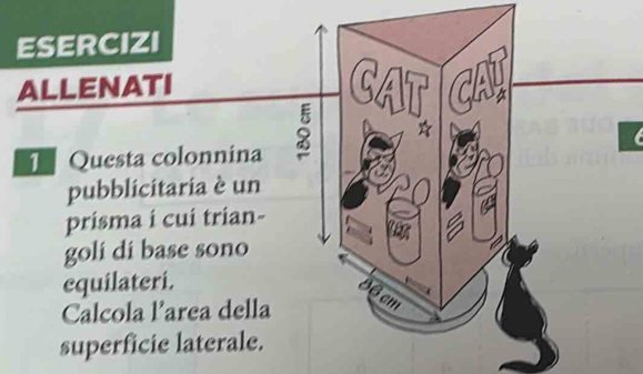 ESERCIZI 
ALLENATI GAT CAI 
T Questa colonnina 
pubblicitaria è un 
prisma i cui trian- 
golí dí base sono 
equilateri.
B6 cm
Calcola larea della 
superficie laterale.