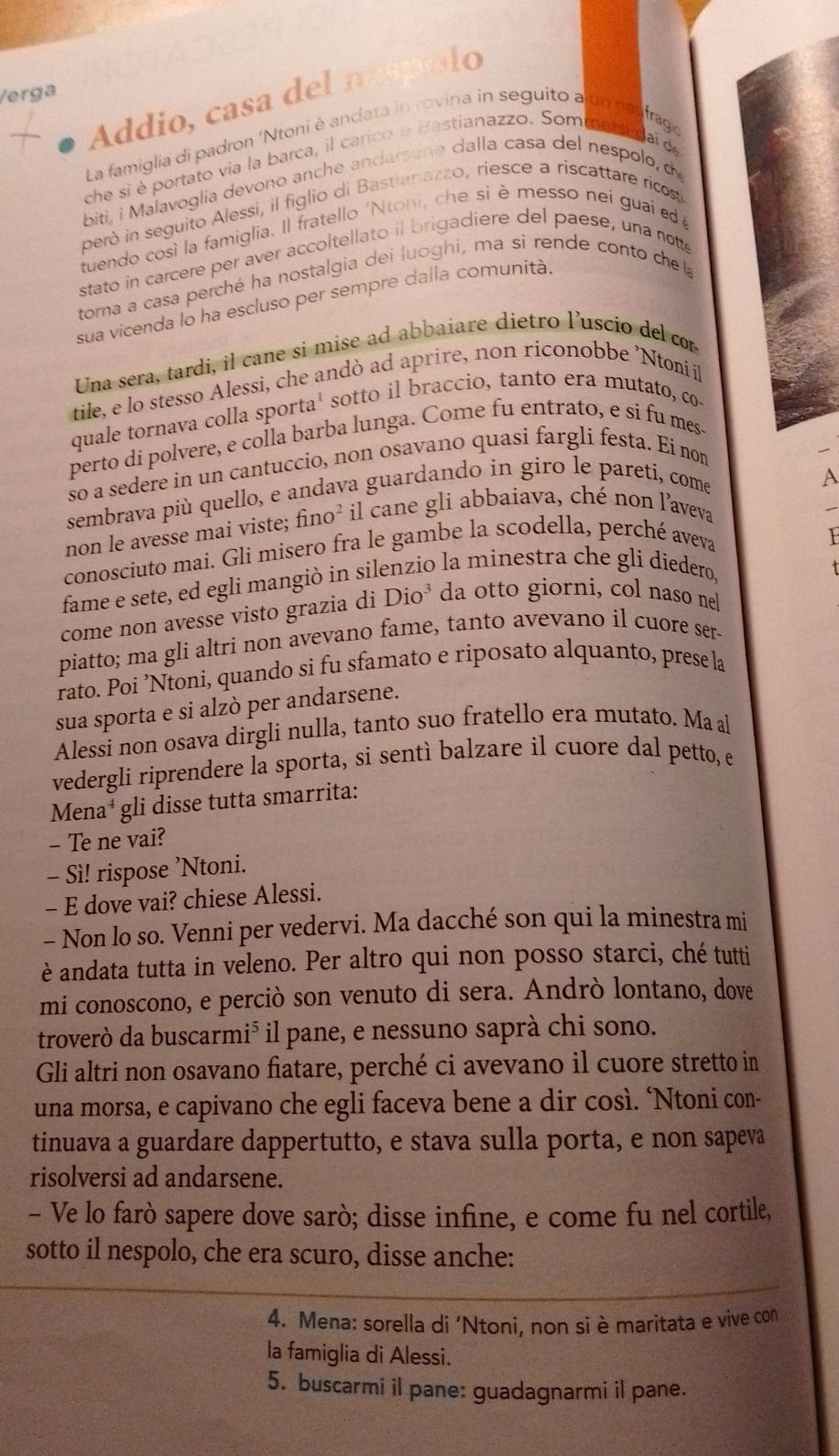 Addio, casa del nospíolo
/erga
La famiglia di padron 'Ntoni è andata in rovina in seguito a un nadfragia
che si è portato via la barca, il carico e Bastianazzo. Sommamidai de
biti, i Malavoglia devono anche andarsene dalla casa del nespolo, de
però in seguito Alessi, il figlio di Bastianazzo, riesce a riscattare ricosi
tuendo così la famiglia. Il fratello 'Ntoni, che si è messo nei guai ed 
stato in carcere per aver accoltellato il brigadiere del paese, una notte
torna a casa perché ha nostalgia dei luoghi, ma si rende conto che l
sua vicenda lo ha escluso per sempre dalla comunità
Una sera, tardi, il cane si mise ad abbaiare dietro l’uscio del cor
tile, e lo stesso Alessi, che andò ad aprire, non riconobbe 'Ntonii
quale tornava colla sporta¹ sotto il braccio, tanto era mutato, co
perto di polvere, e colla barba lunga. Come fu entrato, e si fu mes
so a sedere in un cantuccio, non osavano quasi fargli festa. Ei no
sembrava più quello, e andava guardando in giro le pareti, come
A
non le avesse mai viste; fino² il cane gli abbaiava, ché non l’aveva
conosciuto mai. Gli misero fra le gambe la scodella, perché aveva
fame e sete, ed egli mangiò in silenzio la minestra che gli diedero,
come non avesse visto grazia di Dio^3 da otto giorni, col naso nel
piatto; ma gli altri non avevano fame, tanto avevano il cuore ser-
rato. Poi ’Ntoni, quando si fu sfamato e riposato alquanto, prese la
sua sporta e si alzò per andarsene.
Alessi non osava dirgli nulla, tanto suo fratello era mutato. Ma al
vedergli riprendere la sporta, si sentì balzare il cuore dal petto, e
Mena* gli disse tutta smarrita:
- Te ne vai?
- Sì! rispose ’Ntoni.
- E dove vai? chiese Alessi.
- Non lo so. Venni per vedervi. Ma dacché son qui la minestra mi
è andata tutta in veleno. Per altro qui non posso starci, ché tutti
mi conoscono, e perciò son venuto di sera. Andrò lontano, dove
troverò da buscarmi³ il pane, e nessuno saprà chi sono.
Gli altri non osavano fiatare, perché ci avevano il cuore stretto in
una morsa, e capivano che egli faceva bene a dir così. ‘Ntoni con-
tinuava a guardare dappertutto, e stava sulla porta, e non sapeva
risolversi ad andarsene.
- Ve lo farò sapere dove sarò; disse infine, e come fu nel cortile,
sotto il nespolo, che era scuro, disse anche:
4. Mena: sorella di 'Ntoni, non si è maritata e vive con
la famiglia di Alessi.
5. buscarmi il pane: guadagnarmi il pane.