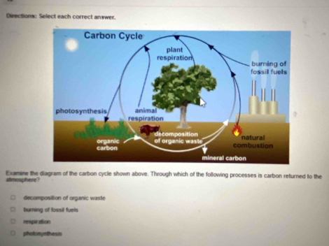 Diections: Select each correct answer.
Examine the diagram of the carbon cycle shown above. Through which of the following processes is carbon returned to the
atmosphere?
decomposition of organic waste
burning of fossil fuels
respiration
photosynthesis