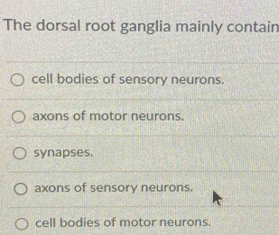 The dorsal root ganglia mainly contain
cell bodies of sensory neurons.
axons of motor neurons.
synapses.
axons of sensory neurons.
cell bodies of motor neurons.