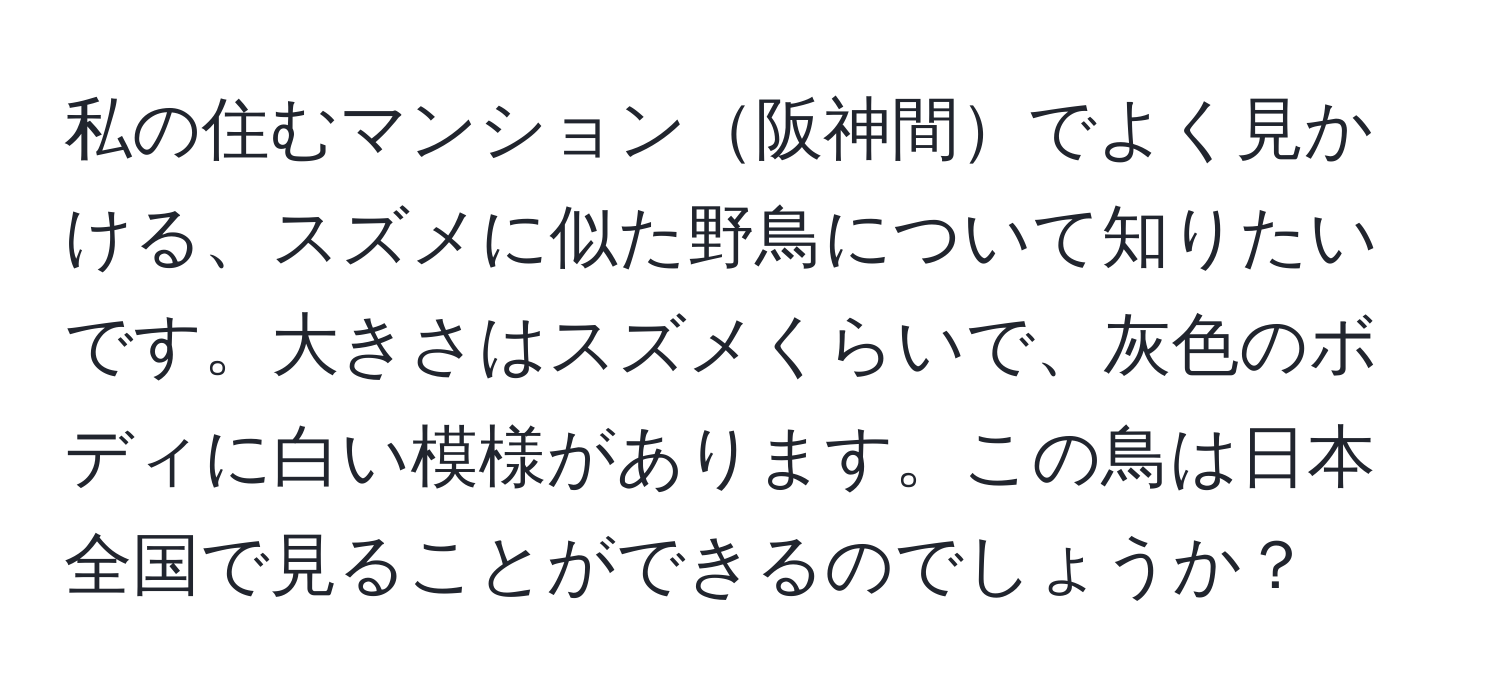 私の住むマンション阪神間でよく見かける、スズメに似た野鳥について知りたいです。大きさはスズメくらいで、灰色のボディに白い模様があります。この鳥は日本全国で見ることができるのでしょうか？