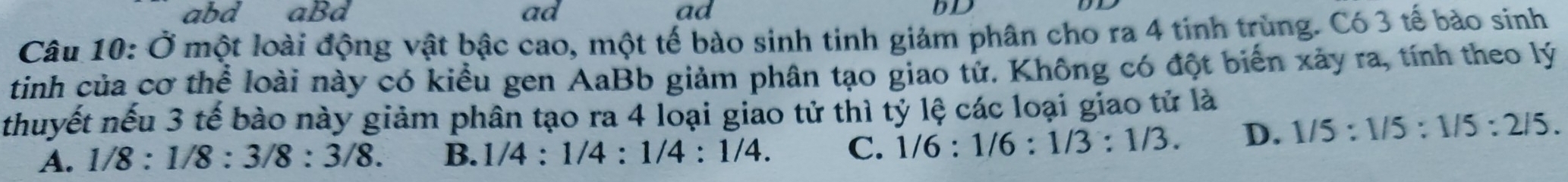 abd aBd ad ad bD
Câu 10: Ở một loài động vật bậc cao, một tế bào sinh tinh giảm phân cho ra 4 tinh trùng. Có 3 tế bào sinh
tinh của cơ thể loài này có kiểu gen AaBb giảm phân tạo giao tử. Không có đột biến xảy ra, tính theo lý
thuyết nếu 3 tế bào này giảm phân tạo ra 4 loại giao tử thì tỷ lệ các loại giao tử là
A. 1/8:1/8:3/8:3/8. B. 1/4:1/4:1/4:1/4. C. 1/6:1/6:1/3:1/3. D. 1/5:1/5:1/5:2/5.